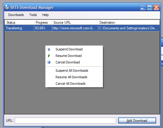 BITS Download Manager